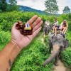 Iman 3D tailandia, iman para nevera templo tailandes, elefante y palmeras importado, resina, recuerdo thai